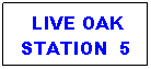 Text Box:  LIVE OAK STATION  5
STATION 5
mAK 
 
